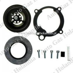 Zestaw naprawczy  IMPCO RK-CA55-1