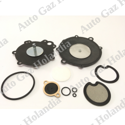 Zestaw naprawczy reduktora ( parownika )gazu LPG AISAN S ,TOYOTA, HYSTER 1479531