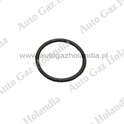 O-ring wylotu gazu z reduktora KOLTEC NECAM VG392