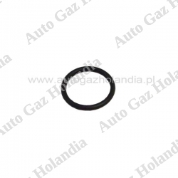 O-ring wtryskiwacza TeleflexGfi,GFI,IMPCO